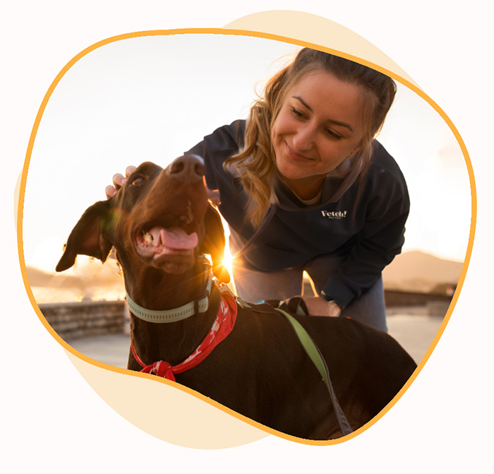 Pet Sitting in Greensboro